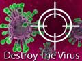 খেলা Destroy The Virus