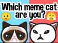 খেলা Which Meme Cat Are You?