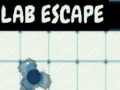 খেলা Lab Escape