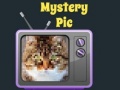 খেলা Mystery Pic