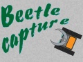 খেলা Beetle Capture