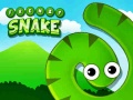 খেলা Frenzy Snake