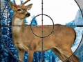 খেলা Sniper Stag Hunter