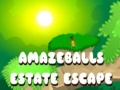 খেলা Amazeballs Estate Escape