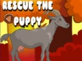 খেলা Rescue The Puppy
