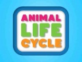 খেলা Animal Life Cycle