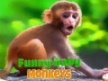 খেলা Funny Baby Monkey