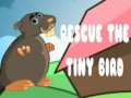 খেলা Rescue The Tiny Bird