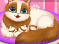 খেলা Cute Kitty Pregnant