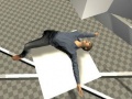খেলা Ragdoll Test