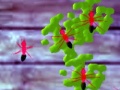 খেলা Smash Ants