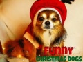 খেলা Funny Christmas Dogs