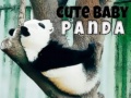 খেলা Cute Baby Panda