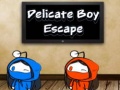 খেলা Delicate Boy Escape