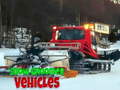 খেলা Snow Groomer Vehicles