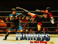 খেলা Fighters in the Ring
