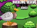 খেলা Duckling Rescue Series1