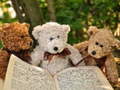 খেলা Cuddly Three Teddy Jigsaw