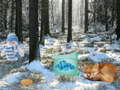 খেলা Winter Wonderland Forest Adventure