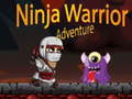 খেলা Ninja Warrior Adventure