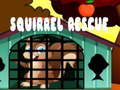 খেলা Squirrel Rescue