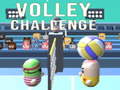 খেলা Volley Challenge