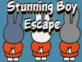 খেলা Stunning Boy Escape