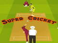 খেলা Super Cricket 