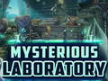 খেলা Mysterious Laboratory