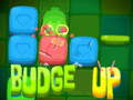 খেলা Budge Up