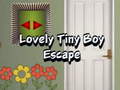 খেলা Lovely Tiny Boy Escape