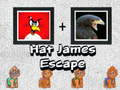 খেলা Hat James Escape