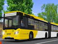 খেলা Public Transport Simulator 2021