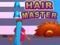 খেলা Hair Master