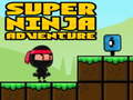 খেলা Super Adventure Ninja