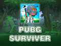 খেলা PUBG Surviver