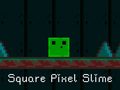 খেলা Square Pixel Slime