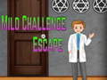 খেলা Amgel Mild Challenge Escape