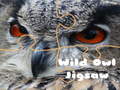 খেলা Wild owl Jigsaw