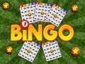 খেলা Bingo Revealed