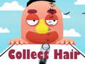 খেলা Collect Hair