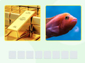 খেলা Picword