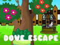 খেলা Dove Escape