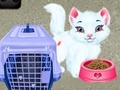 খেলা Baby Taylor Pet Care
