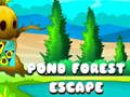 খেলা Pond Forest Escape