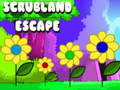 খেলা Scrubland Escape