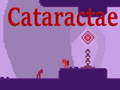 খেলা Cataractae