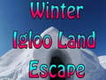 খেলা Winter Igloo Land Escape 