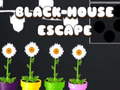খেলা Black House Escape