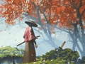 খেলা Samurai Reflexion
